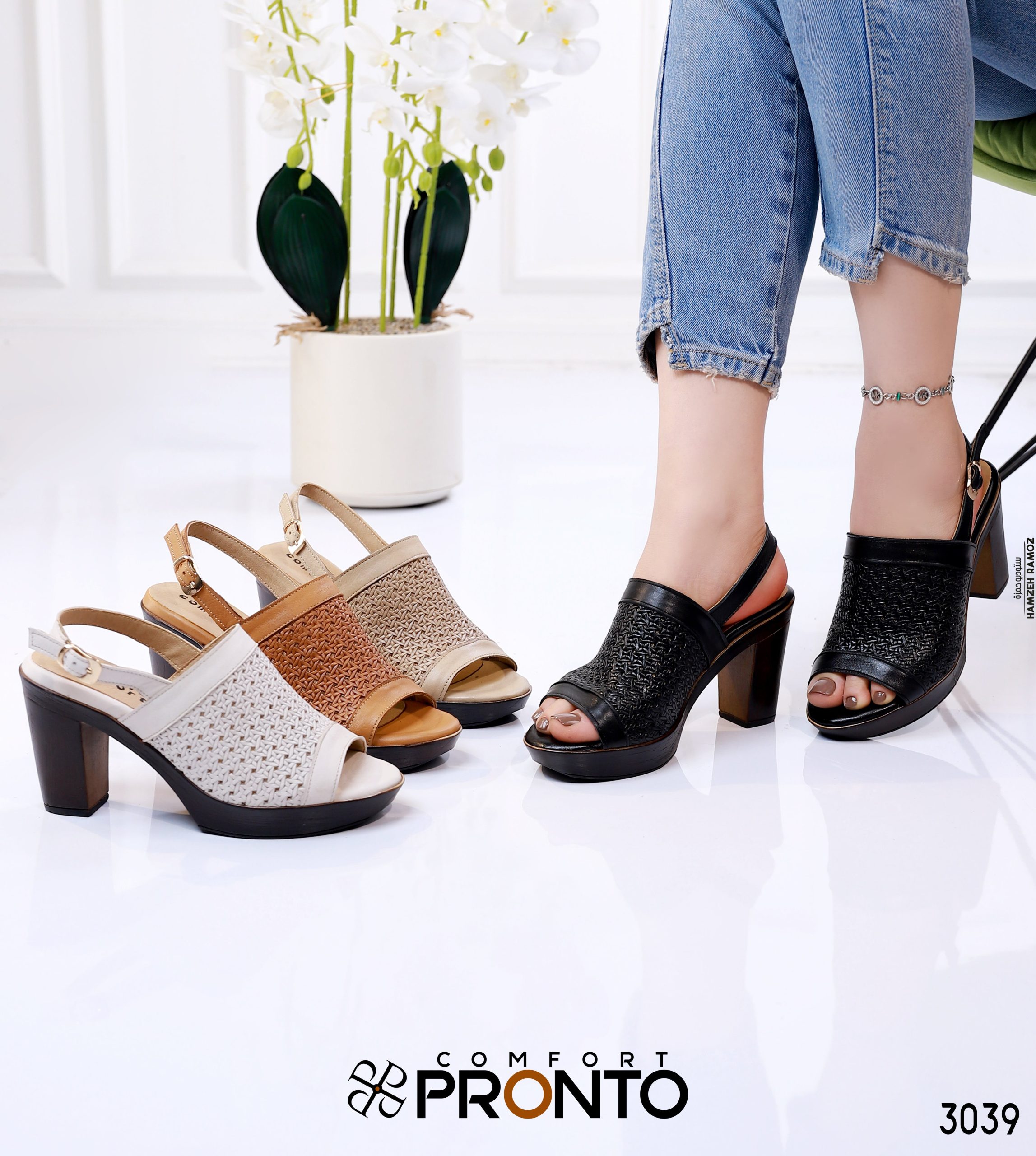 Lyra Dawn - תמונה 6