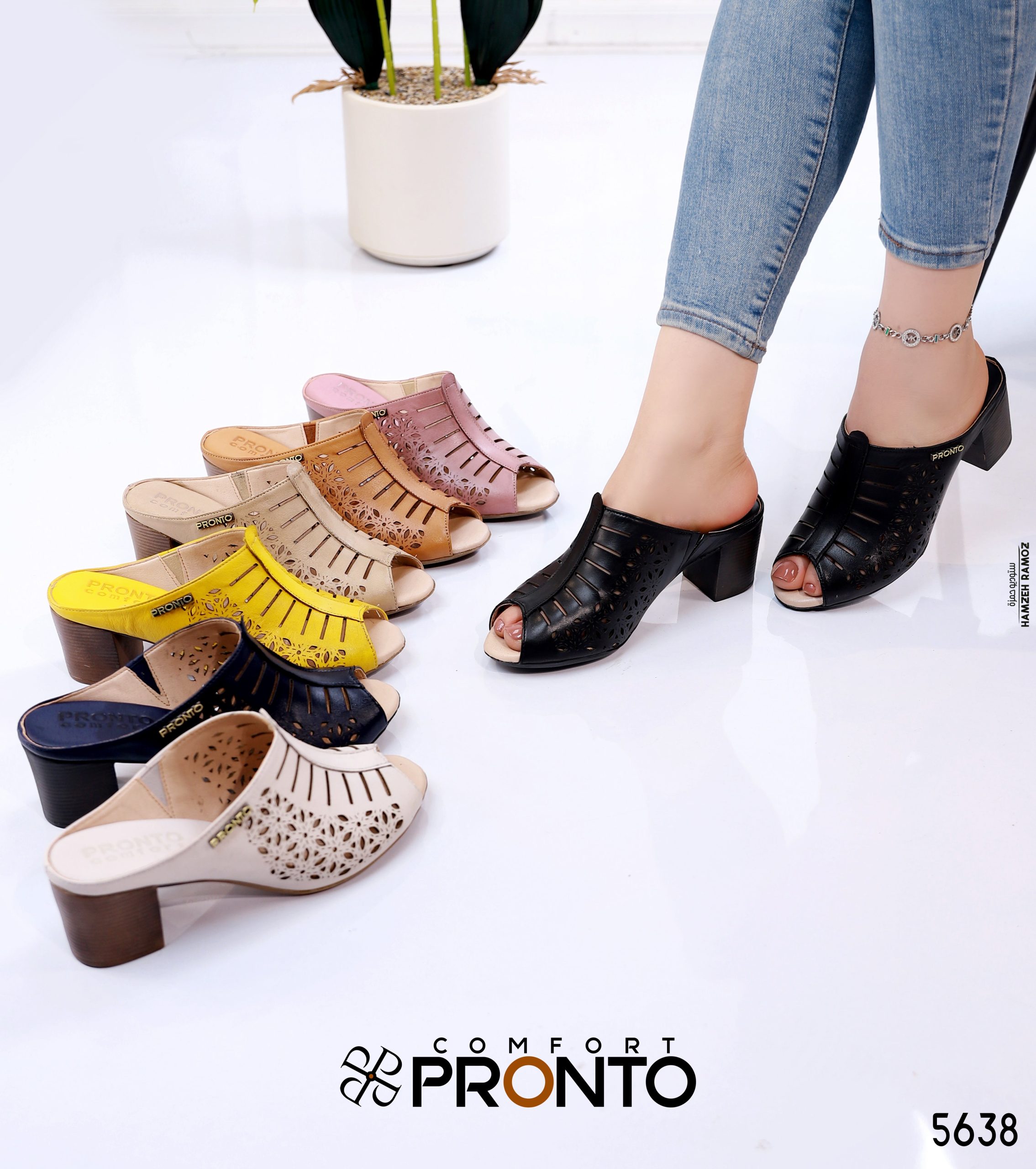 Fern Aura - תמונה 8