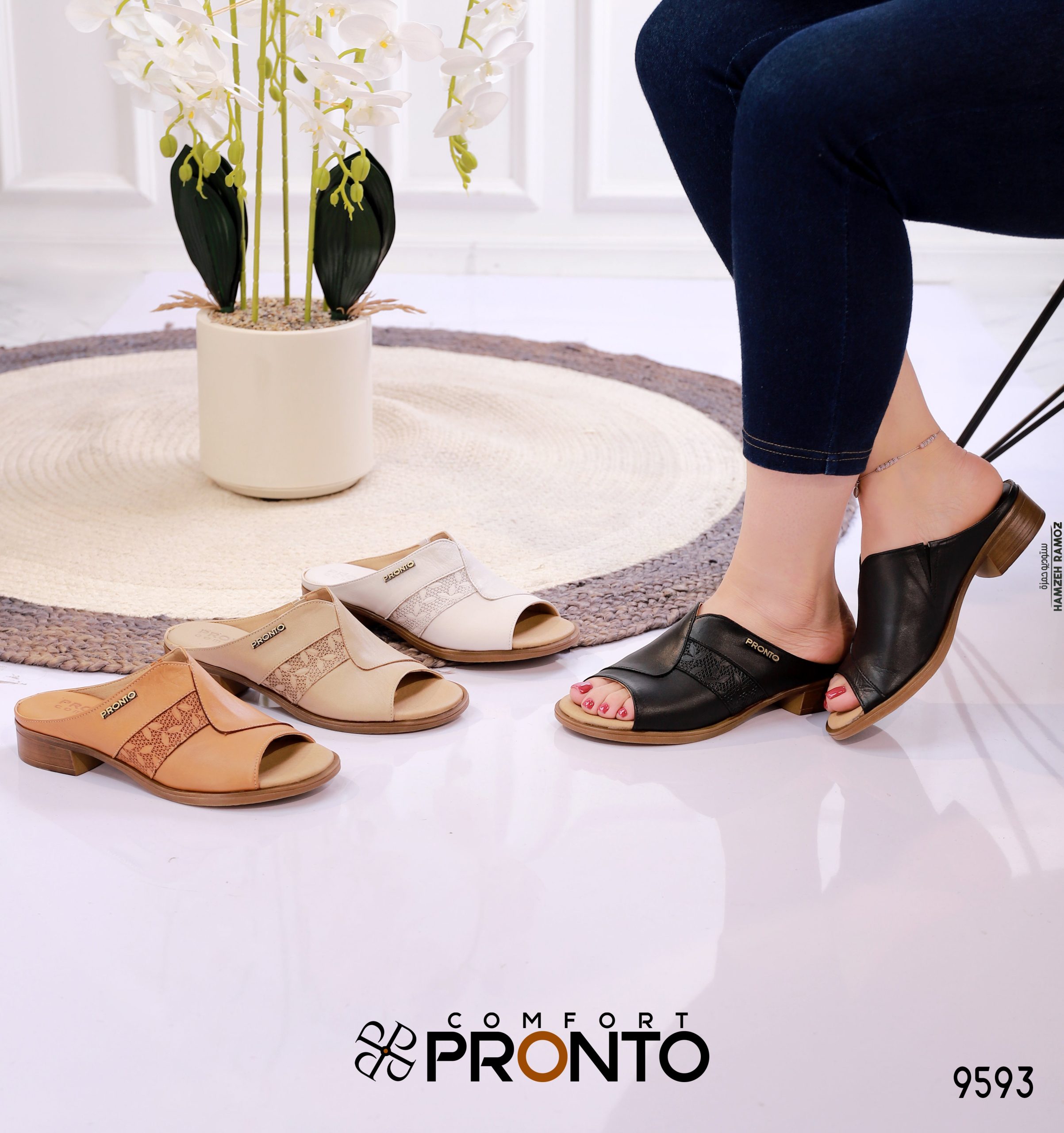 Fern Classic - תמונה 5