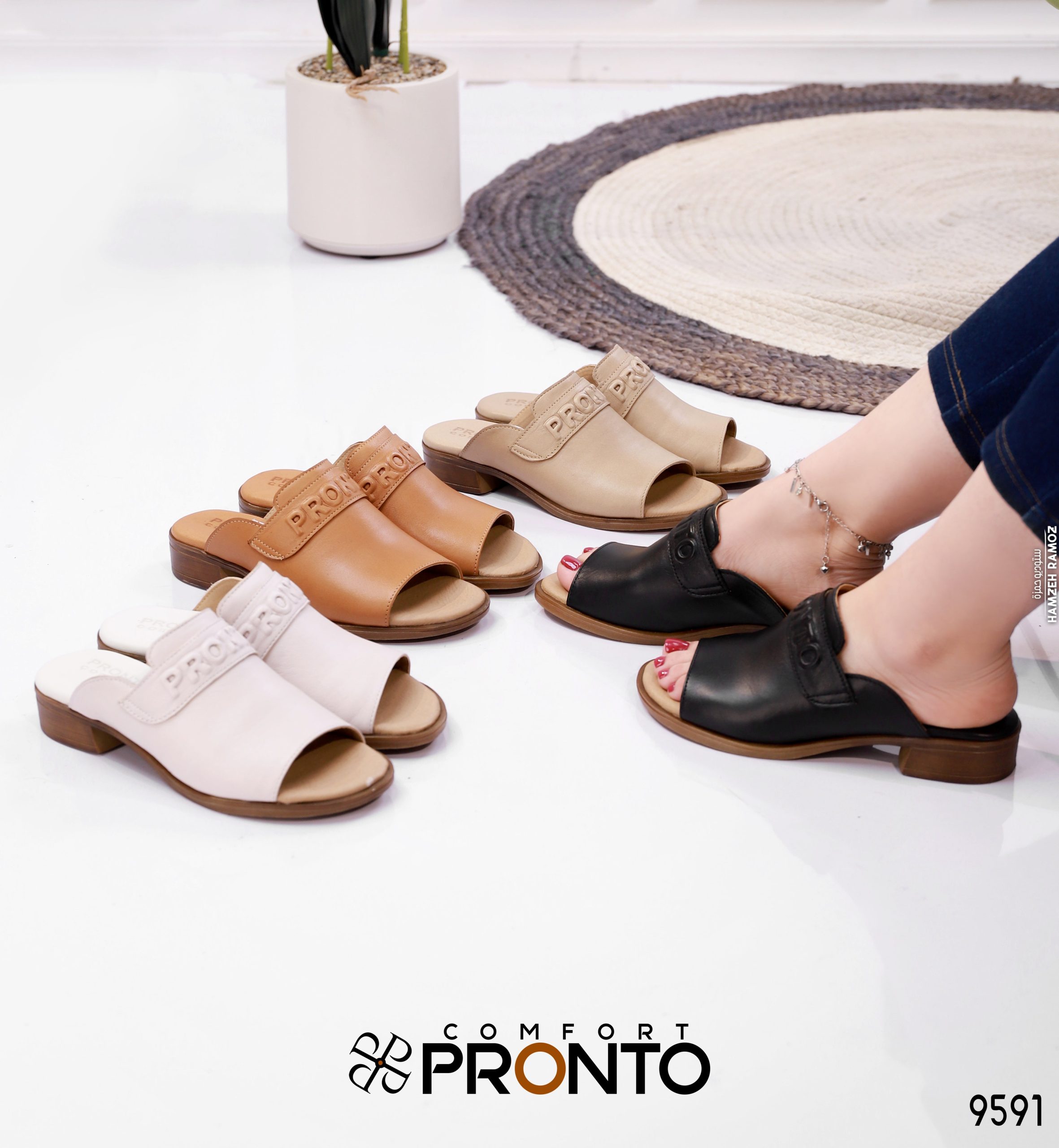 Colette Icon - Image 5