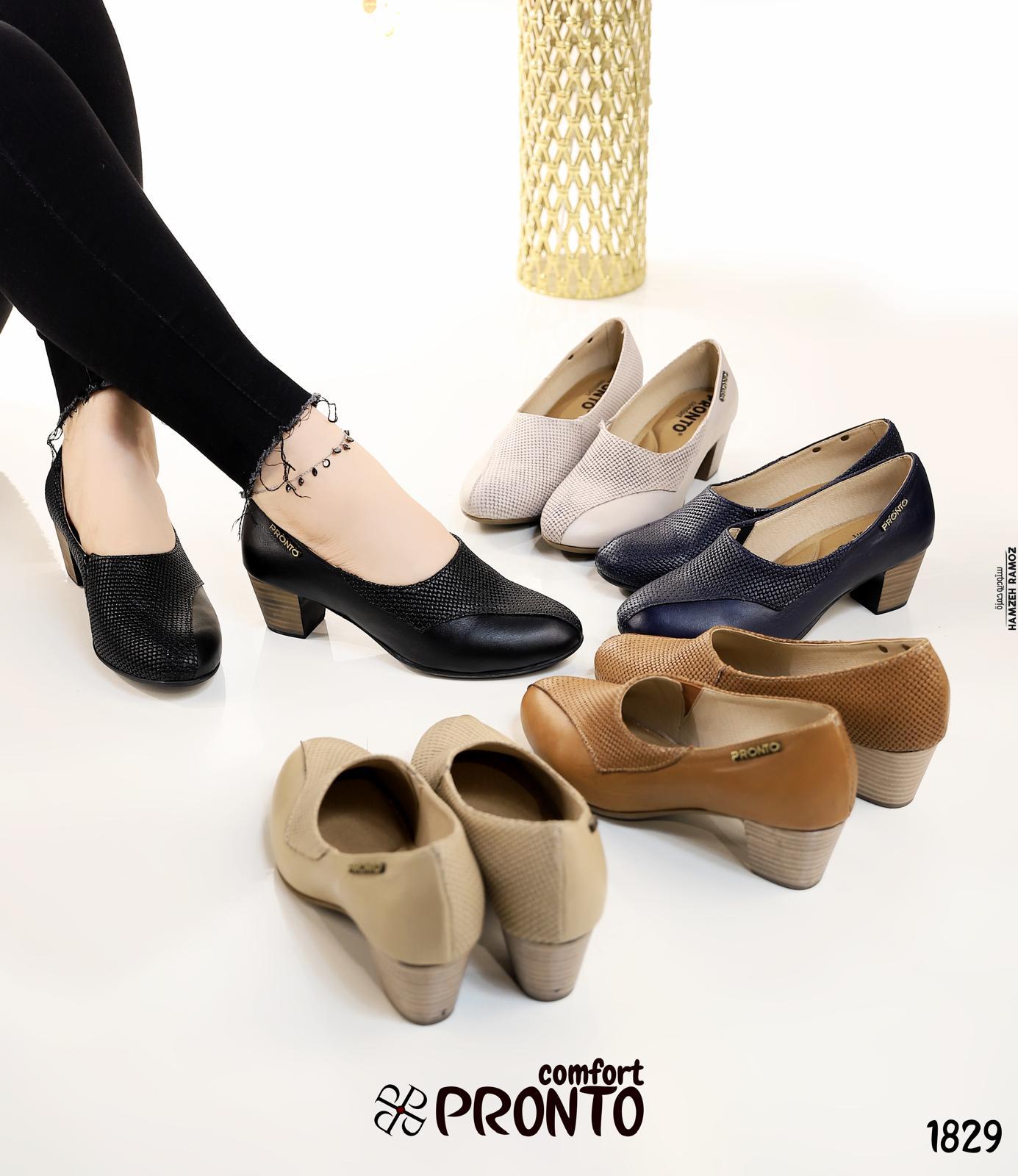 Lark Dream - תמונה 5