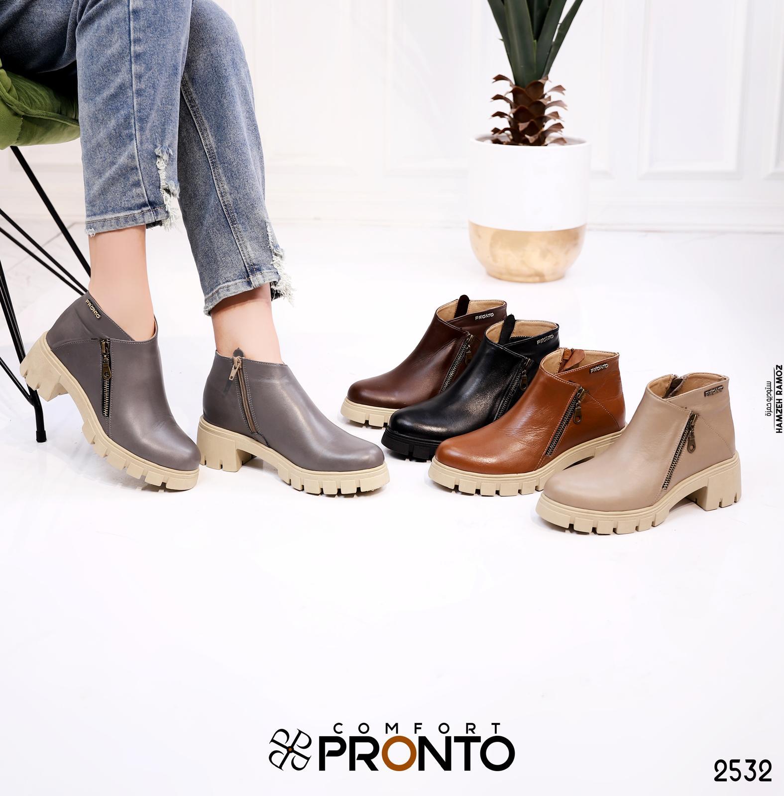 Stella Moonlight - תמונה 6