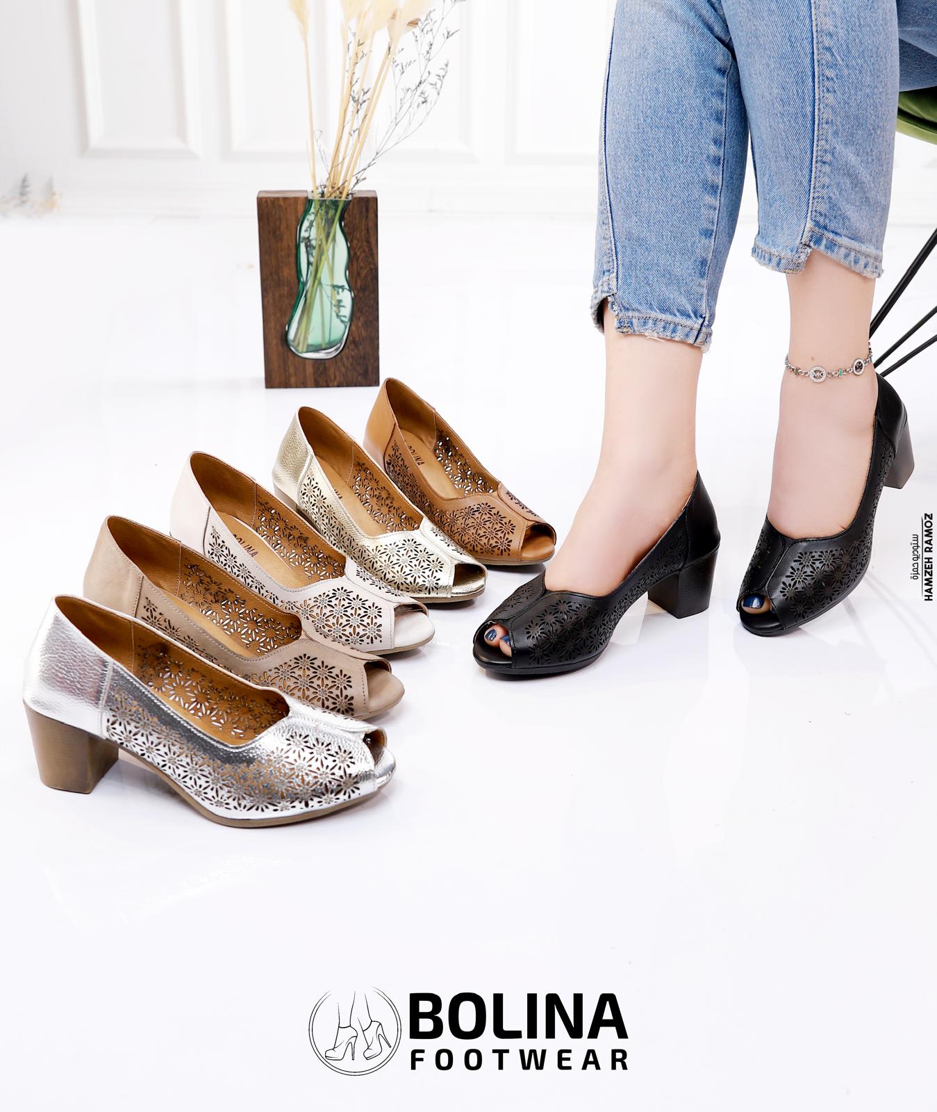 Desert Crown - תמונה 4