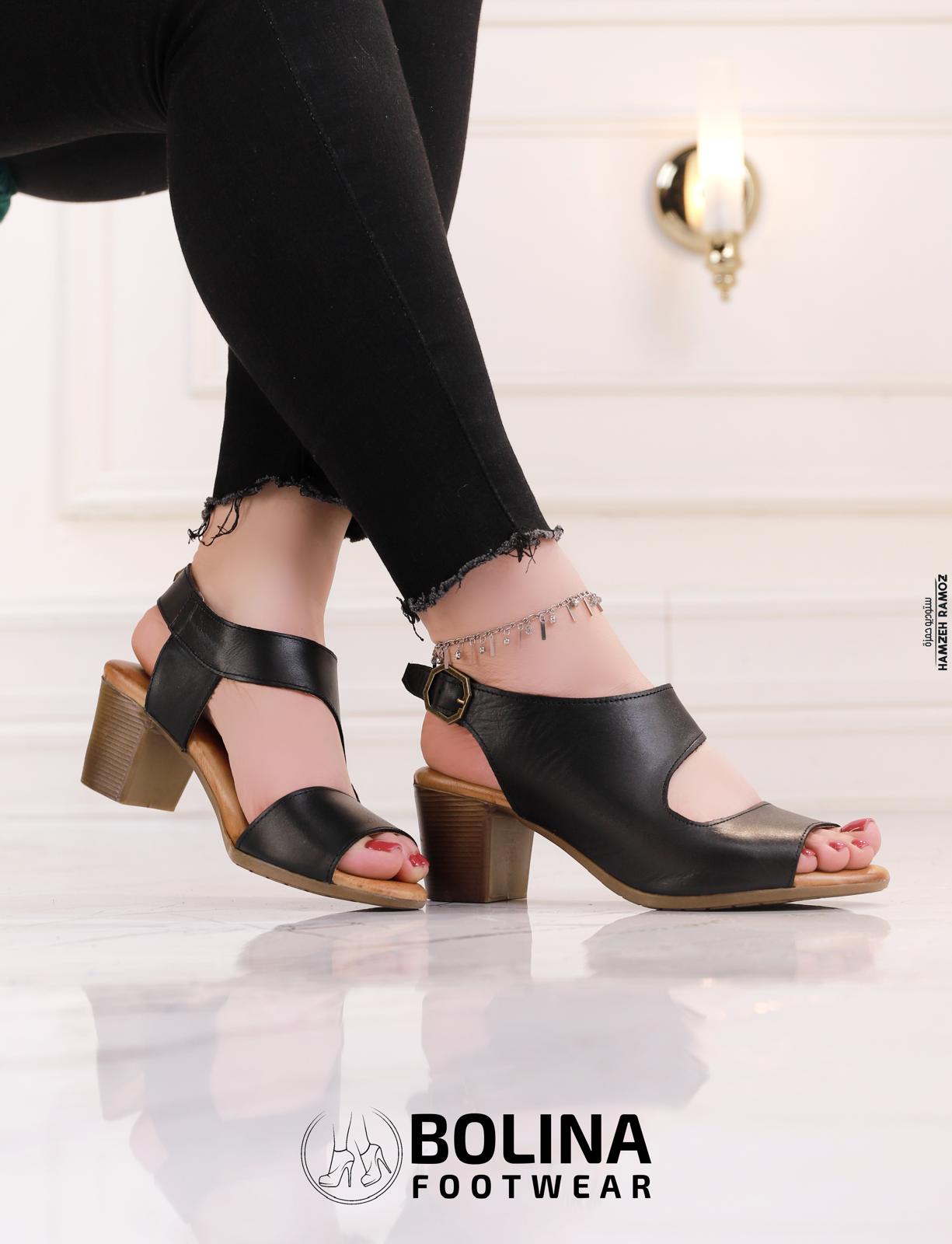 Royal Ember - תמונה 3