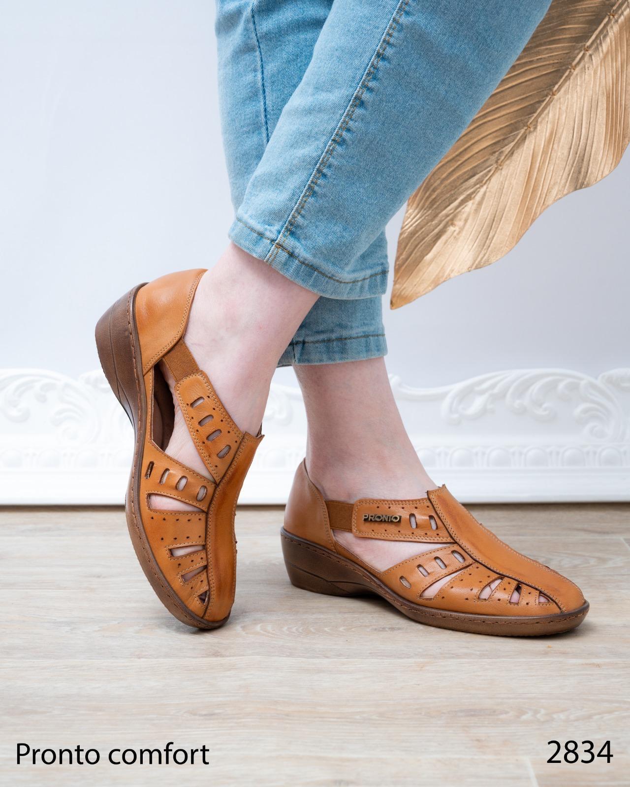 Zenvyra - תמונה 5