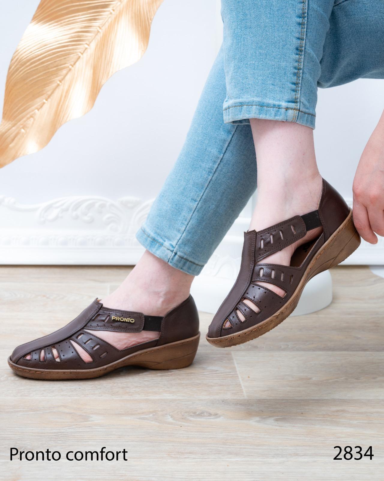 Zenvyra - תמונה 4