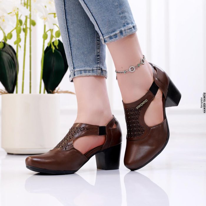 כל הקטגוריות